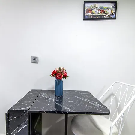 Modern Flat In The * اسطنبول